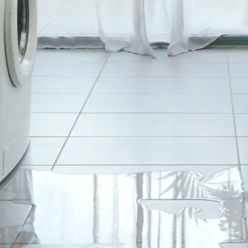 Appliance Leak Cleanup in Milford, ME