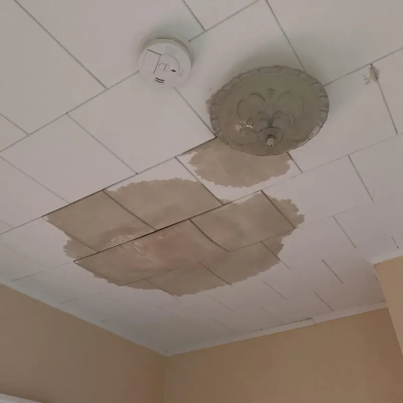 Ceiling Water Damage Repair in Milford, ME