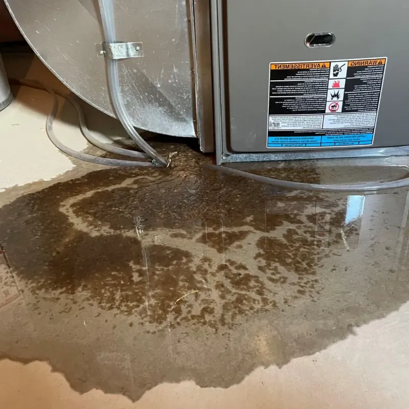 Pipe Burst and Leak Restoration in Milford, ME