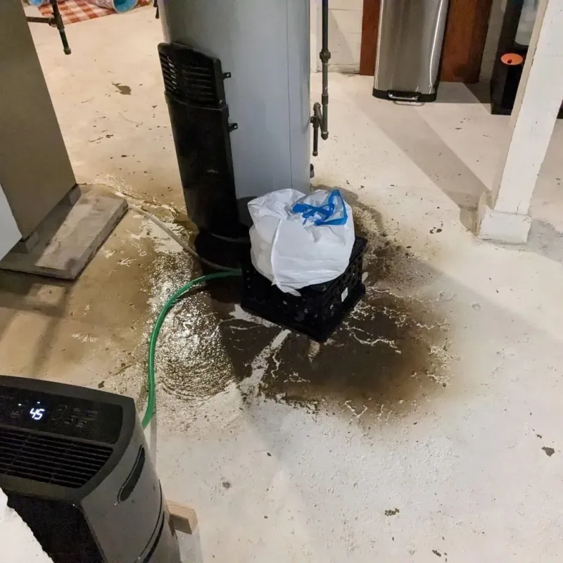 Sewage Backup Cleanup Service in Milford, ME